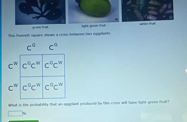 light-green fruitwhite fruit
This Punnett square shows a cross between two eggplants.
C^G C^G
C^W
C^W
What is the probability that an eggplant produced by this cross will have light-green fruit?
□ %