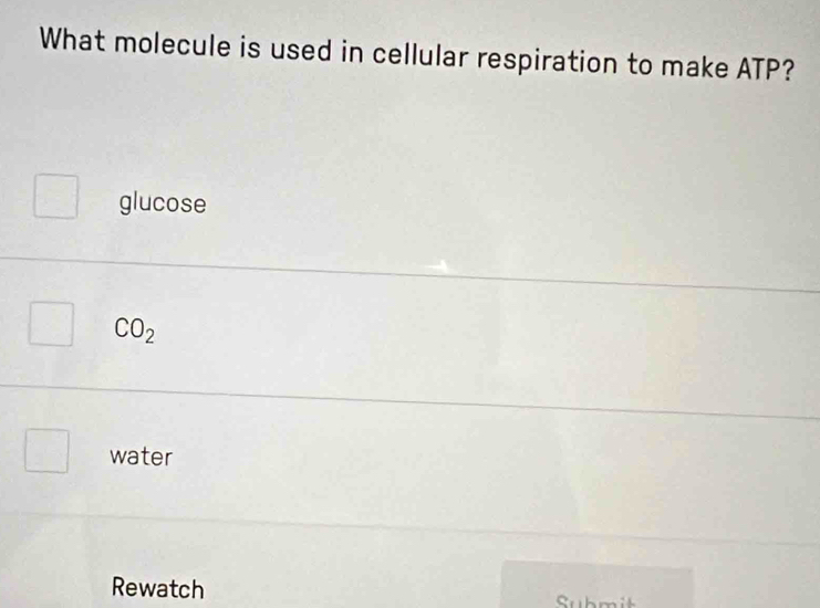 What molecule is used in cellular respiration to make ATP?
glucose
CO_2
water
Rewatch Submit