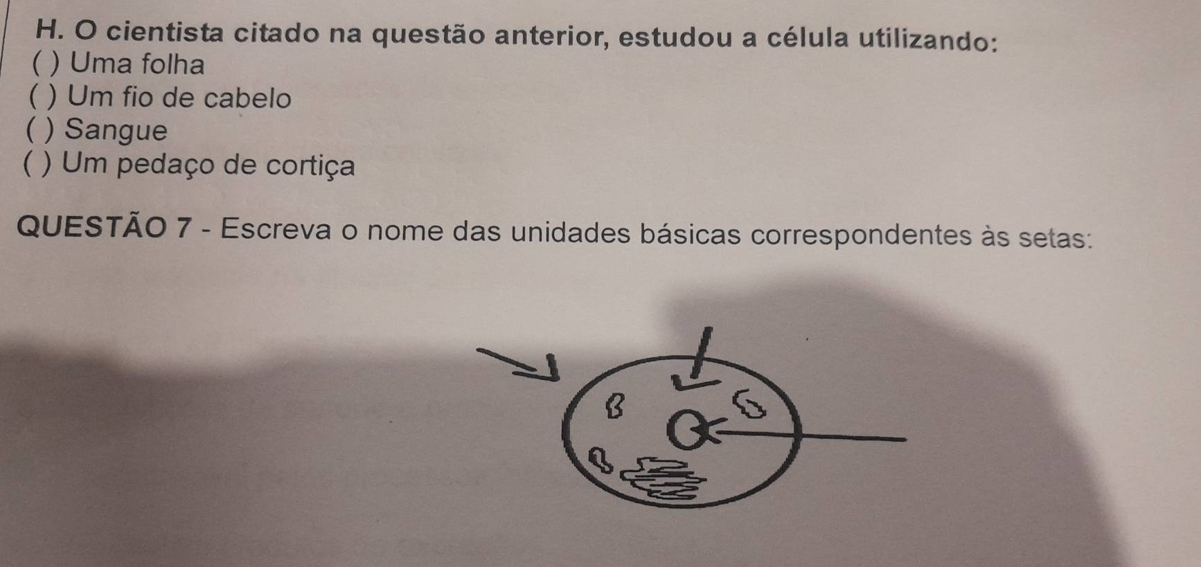 cientista citado na questão anterior, estudou a célula utilizando: 
( ) Uma folha 
( ) Um fio de cabelo 
( ) Sangue 
( ) Um pedaço de cortiça 
QUESTÃO 7 - Escreva o nome das unidades básicas correspondentes às setas: