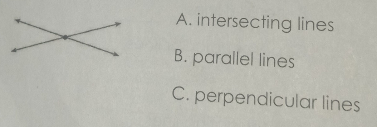 A. intersecting lines
B. parallel lines
C. perpendicular lines