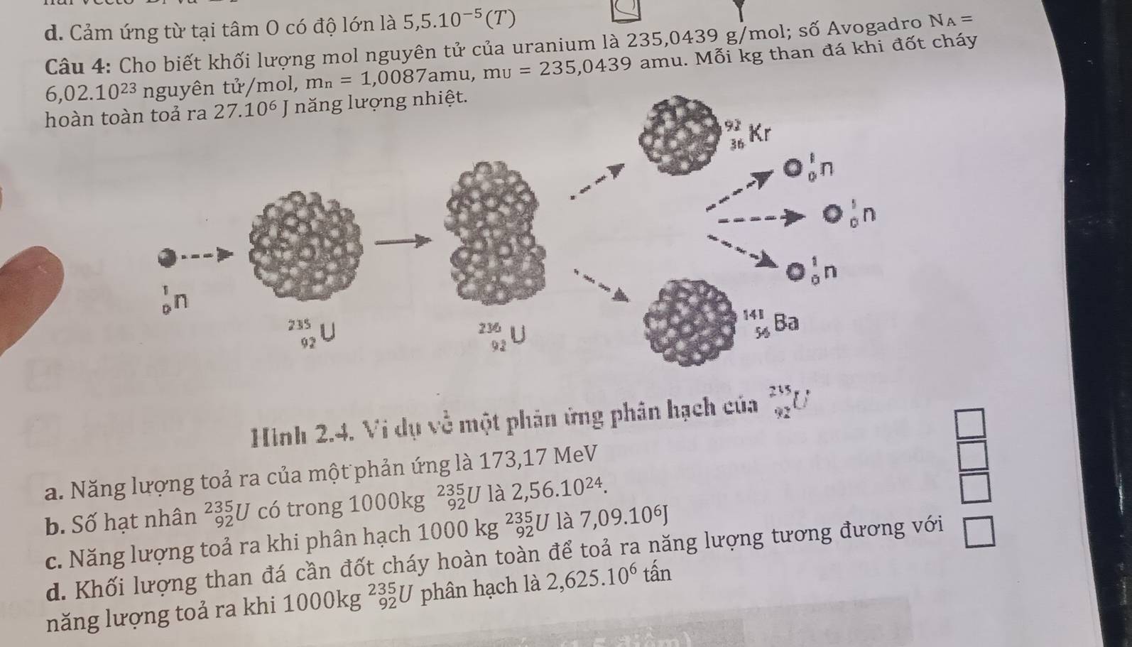 d. Cảm ứng từ tại tâm O có độ lớn là 5,5.10^(-5)(T)
Câu 4: Cho biết khối lượng mol nguyên tử của uranium là 235,04 439g /mol; số Avogadro N_A=
6,02.10^(23) m_n=1,0087amu, mu=235,0439 amu.f Mỗi kg than đá khi đốt cháy
hoàn 
Hình 2.4. Vi dụ về một phản ứng phân hạch của _(92)^(235)U
a. Năng lượng toả ra của một phản ứng là 173,17 MeV
b. Số hạt nhân _(92)^(235)U có trong 1000kg beginarrayr 235 92endarray U là 2,56.10^(24).
 □ /□  
c. Năng lượng toả ra khi phân hạch 1000kg^(235)_92U 1dot a7,09.10^6J
d. Khối lượng than đá cần đốt cháy hoàn toàn để toả ra năng lượng tương đương với □
năng lượng toả ra khi 1000kg^(235)_92U phân hạch là 2,625.10^6that an