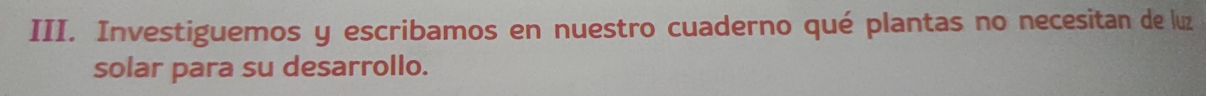 Investiguemos y escribamos en nuestro cuaderno qué plantas no necesitan de luz 
solar para su desarrollo.