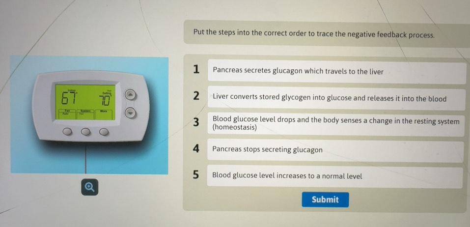 Solved: Put the steps into the correct order to trace the negative ...