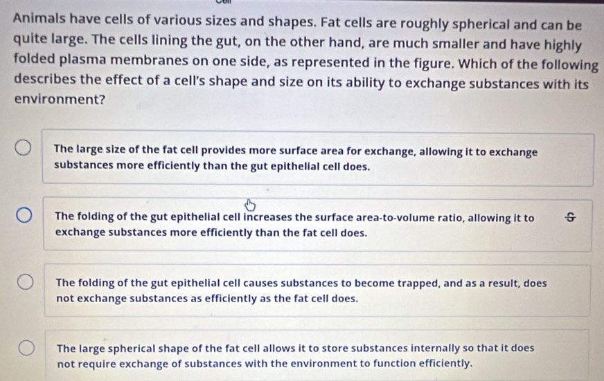 Animals have cells of various sizes and shapes. Fat cells are roughly spherical and can be
quite large. The cells lining the gut, on the other hand, are much smaller and have highly
folded plasma membranes on one side, as represented in the figure. Which of the following
describes the effect of a cell’s shape and size on its ability to exchange substances with its
environment?
The large size of the fat cell provides more surface area for exchange, allowing it to exchange
substances more efficiently than the gut epithelial cell does.
The folding of the gut epithelial cell increases the surface area-to-volume ratio, allowing it to G
exchange substances more efficiently than the fat cell does.
The folding of the gut epithelial cell causes substances to become trapped, and as a result, does
not exchange substances as efficiently as the fat cell does.
The large spherical shape of the fat cell allows it to store substances internally so that it does
not require exchange of substances with the environment to function efficiently.