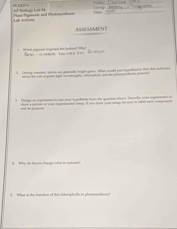 WARD′S Name:_ 
AP Biology Lab #4 Date: Group:__ 
Plant Pigments and Photosynthesis 
Lab Activity 
ASSESSMENT 
1. Which pigment migrated the farthest? Why? 
2. During summer, leaves are generally bright green. What would you hypothesize that this indicates 
about the role of green light wavelengths, chlorophyll, and the photosynthetic process? 
3. Design an experiment to test your hypothesis from the question above. Describe your experiment or 
draw a picture of your experimental setup. If you draw your setup, be sure to label each component 
and its purpose. 
4. Why do leaves change color in autumn? 
5. What is the function of the chlorophylls in photosynthesis?
