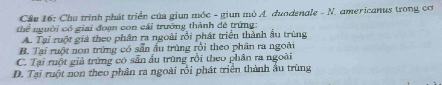 Chu trình phát triển của giun móc - giun mỏ A. duodenale - N. americanus trong cơ
thể người có giai đoạn con cái trưởng thành đẻ trứng:
A. Tại ruột giả theo phân ra ngoài rồi phát triển thành ấu trùng
B. Tại ruột non trứng có sẵn ấu trùng rồi theo phân ra ngoài
C. Tại ruột giả trứng có sẵn ấu trùng rồi theo phân ra ngoài
D. Tại ruột non theo phân ra ngoài rồi phát triển thành ầu trùng