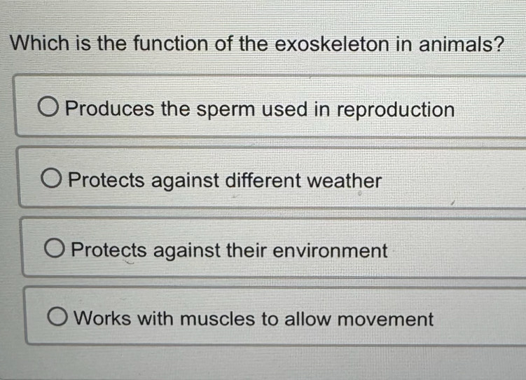 Which is the function of the exoskeleton in animals?
Produces the sperm used in reproduction
Protects against different weather
Protects against their environment
Works with muscles to allow movement