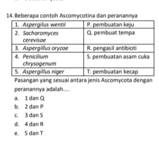 Beberapa contoh Ascomycotina dan peranannya
Pasangan yang sesuai antara jenis Ascomycota dengan
peranannya adalah....
a. 1 dan Q
b. 2 dan P
c. 3 dan S
d. 4 dan R
e. 5 dan T