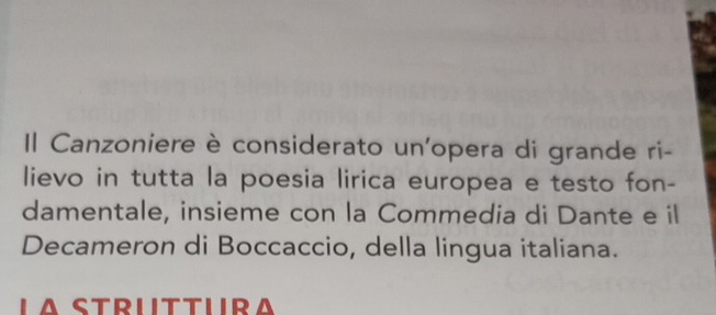 Canzoniere è considerato un'opera di grande ri- 
lievo in tutta la poesia lirica europea e testo fon- 
damentale, insieme con la Commedia di Dante e il 
Decameron di Boccaccio, della lingua italiana.