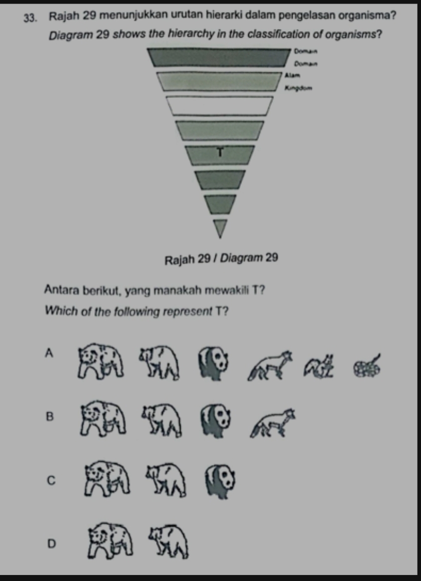 Rajah 29 menunjukkan urutan hierarki dalam pengelasan organisma?
Diagram 29 shows the hierarchy in the classification of organisms?
Rajah 29 / Diagram 29
Antara berikut, yang manakah mewakili T?
Which of the following represent T?
A
B
C
D