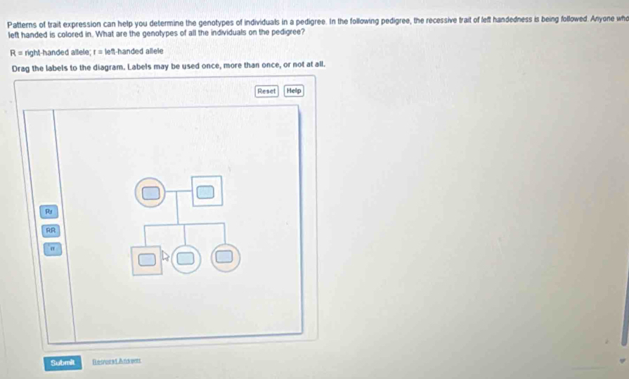 Solved: Patterns of trait expression can help you determine the ...