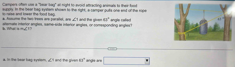 Campers often use a "bear bag" at night to avoid attracting animals to their food
supply. In the bear bag system shown to the right, a camper pulls one end of the rope
to raise and lower the food bag.
a. Assume the two trees are parallel, are ∠ 1 and the given 63° angle called
alternate interior angles, same-side interior angles, or corresponding angles?
b. What is m∠ 1 ?
a. In the bear bag system, ∠ 1 and the given 63° angle are □