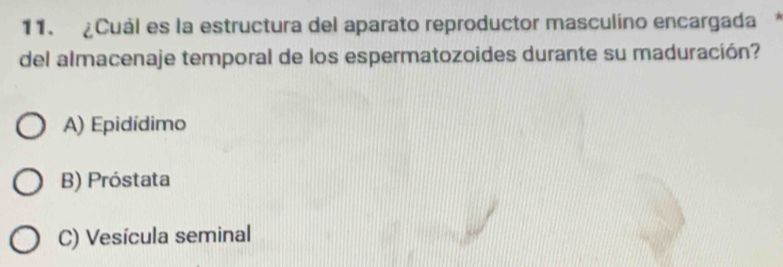 ¿Cuál es la estructura del aparato reproductor masculino encargada*
del almacenaje temporal de los espermatozoides durante su maduración?
A) Epidídimo
B) Próstata
C) Vesícula seminal