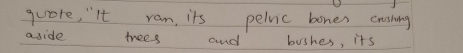 quore, "lt ram, its pelvic bones crushing 
aside trees and bushes, its