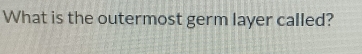 What is the outermost germ layer called?