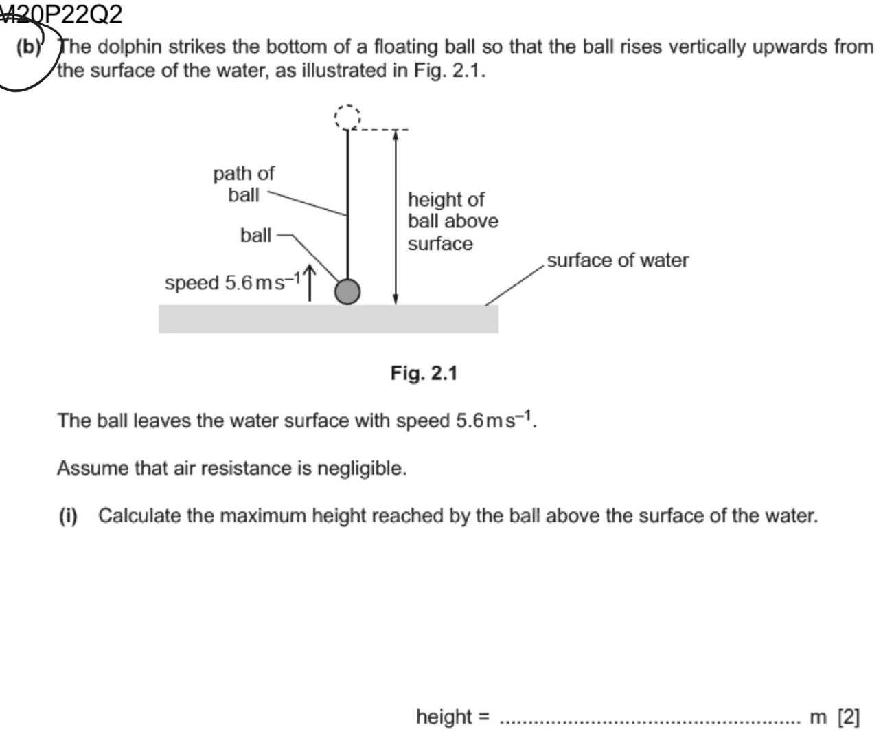 M20P22Q2
(b) The dolphin strikes the bottom of a floating ball so that the ball rises vertically upwards from
the surface of the water, as illustrated in Fig. 2.1.
The ball leaves the water surface with speed 5.6ms^(-1).
Assume that air resistance is negligible.
(i) Calculate the maximum height reached by the ball above the surface of the water.
he ight = _ m[2]