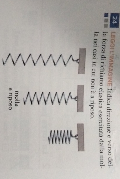 LEGGI L'IMMAGINE Indica direzione e verso del-
la forza di richiamo elastica esercitata dalla mol-
la nei casi in cui non è a riposo.
molla
a riposo