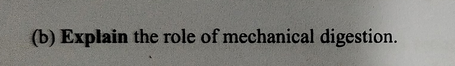 Explain the role of mechanical digestion.