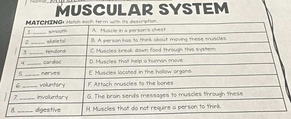 Name_ 
MUSCULAR SYSTEM