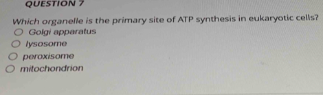 Which organelle is the primary site of ATP synthesis in eukaryotic cells?
Golgi apparatus
lysosome
peroxisome
mitochondrion