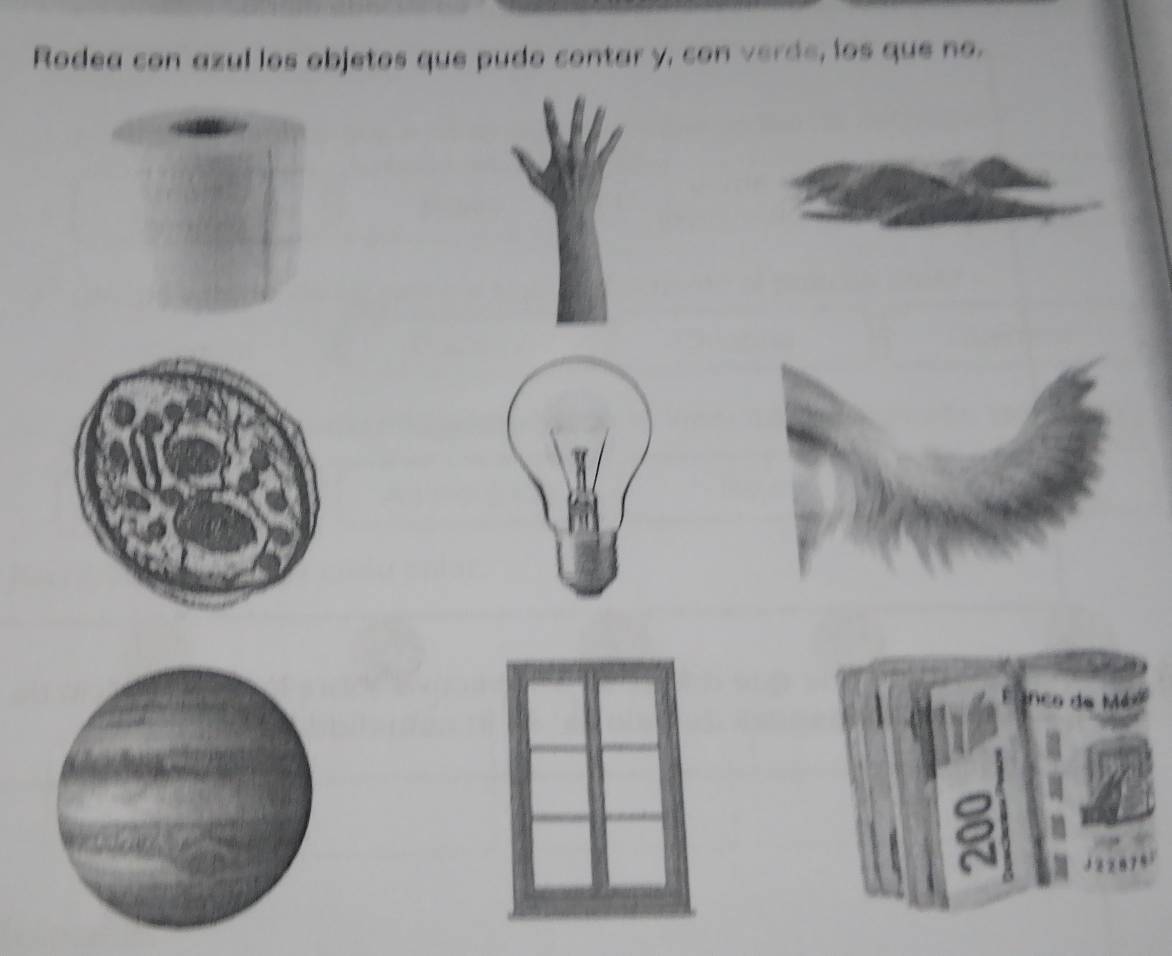 Rodea con azul los objetos que pudo contar y, con verde, los que no.