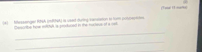 (2) 
(Total 15 marks) 
(a) Messenger RNA (mRNA) is used during translation to form polypeptides. 
Describe how mRNA is produced in the nucieus of a cell. 
_ 
_ 
_