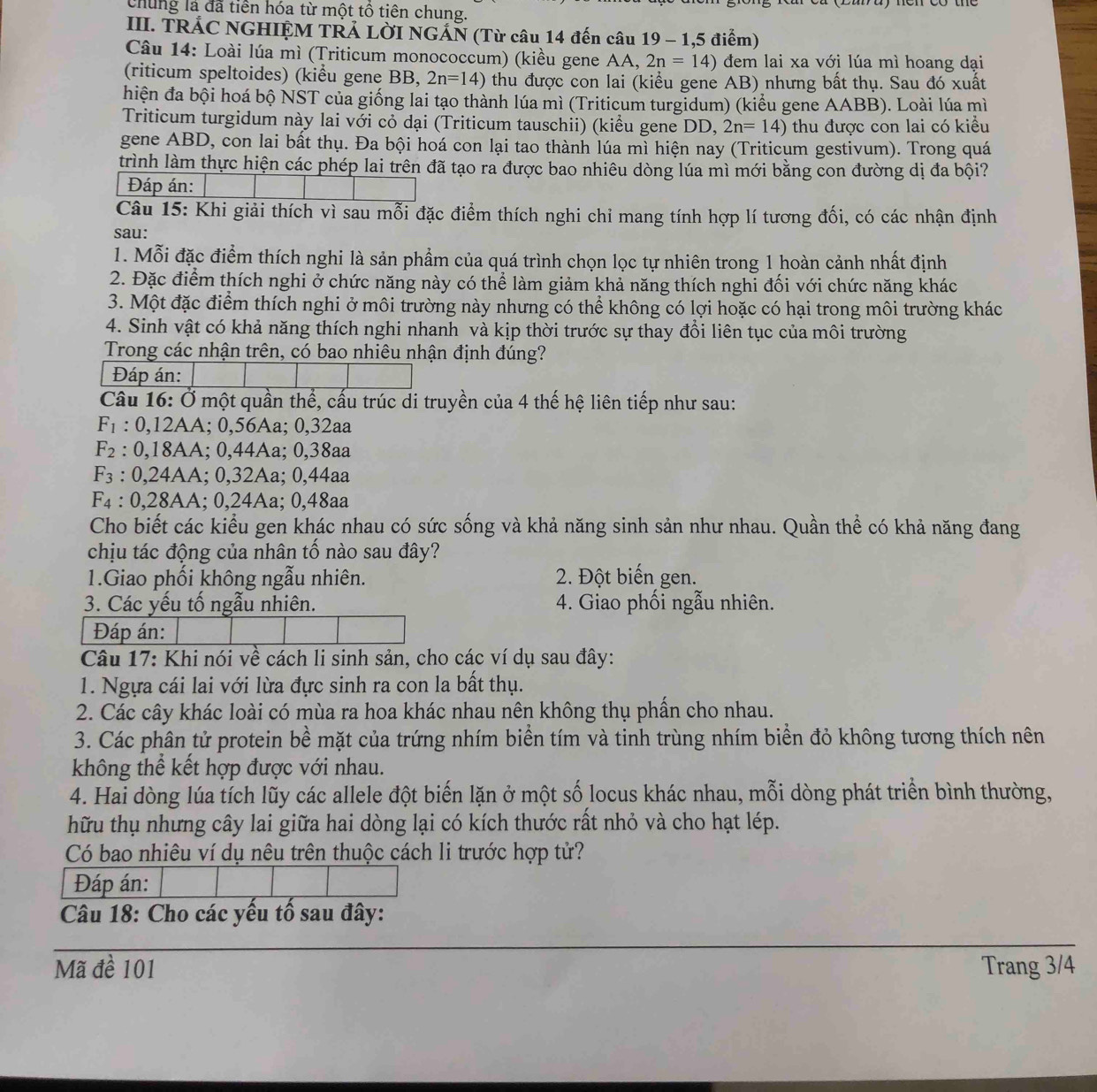 chung là đã tiền hóa từ một tổ tiên chung.
III. TRÁC NGHIỆM TRẢ LỜI NGÁN (Từ câu 14 đến câu 19 - 1,5 điểm)
Câu 14: Loài lúa mì (Triticum monococcum) (kiều gene AA, 2n=14) đem lai xa với lúa mì hoang dại
(riticum speltoides) (kiểu gene BB, 2n=14) thu được con lai (kiểu gene AB) nhưng bất thụ. Sau đó xuất
hiện đa bội hoá bộ NST của giống lai tạo thành lúa mì (Triticum turgidum) (kiểu gene AABB). Loài lúa mì
Triticum turgidum này lai với cỏ dại (Triticum tauschii) (kiểu gene DD, 2n=14) thu được con lai có kiểu
gene ABD, con lai bất thụ. Đa bội hoá con lại tao thành lúa mì hiện nay (Triticum gestivum). Trong quá
trình làm thực hiện các phép lai trên đã tạo ra được bao nhiêu dòng lúa mì mới bằng con đường dị đa bội?
Đáp án:
Câu 15: Khi giải thích vì sau mỗi đặc điểm thích nghi chỉ mang tính hợp lí tương đối, có các nhận định
sau:
1. Mỗi đặc điểm thích nghi là sản phẩm của quá trình chọn lọc tự nhiên trong 1 hoàn cảnh nhất định
2. Đặc điểm thích nghi ở chức năng này có thể làm giảm khả năng thích nghi đối với chức năng khác
3. Một đặc điểm thích nghi ở môi trường này nhưng có thể không có lợi hoặc có hại trong môi trường khác
4. Sinh vật có khả năng thích nghi nhanh và kịp thời trước sự thay đổi liên tục của môi trường
Trong các nhận trên, có bao nhiêu nhận định đúng?
Đáp án:
Câu 16: Ở một quần thể, cấu trúc di truyền của 4 thế hệ liên tiếp như sau:
F_1 : 0,12AA; 0,56Aa; 0,32aa
F_2 : 0,18AA; 0,44Aa; 0,38aa
F_3 : 0,24AA; 0,32Aa; 0,44aa
F_4 : 0,28AA; 0,24Aa; 0,48aa
Cho biết các kiểu gen khác nhau có sức sống và khả năng sinh sản như nhau. Quần thể có khả năng đang
chịu tác động của nhân tố nào sau đây?
1.Giao phối không ngẫu nhiên.  2. Đột biến gen.
3. Các yếu tố ngẫu nhiên. 4. Giao phối ngẫu nhiên.
Đáp án:
Câu 17: Khi nói về cách li sinh sản, cho các ví dụ sau đây:
1. Ngựa cái lai với lừa đực sinh ra con la bất thụ.
2. Các cây khác loài có mùa ra hoa khác nhau nên không thụ phần cho nhau.
3. Các phân tử protein bề mặt của trứng nhím biển tím và tinh trùng nhím biển đỏ không tương thích nên
không thể kết hợp được với nhau.
4. Hai dòng lúa tích lũy các allele đột biến lặn ở một số locus khác nhau, mỗi dòng phát triển bình thường,
hữu thụ nhưng cây lai giữa hai dòng lại có kích thước rất nhỏ và cho hạt lép.
Có bao nhiêu ví dụ nêu trên thuộc cách li trước hợp tử?
Đáp án:
Câu 18: Cho các yều tổ sau đây:
Mã đề 101 Trang 3/4