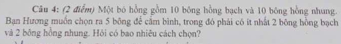 Một bó hồng gồm 10 bông hồng bạch và 10 bông hồng nhung. 
Bạn Hương muồn chọn ra 5 bông để căm bình, trong đó phải có it nhất 2 bông hồng bạch 
và 2 bông hồng nhung. Hỏi có bao nhiêu cách chọn?