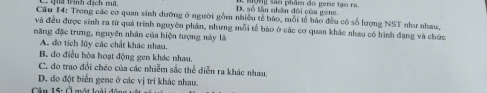 B. lưộng sân phâm do gene tạo ra.
C. quả trính dịch mã. D. số lần nhân đôi của gene.
Câu 14: Trong các cơ quan sinh dưỡng ở người gồm nhiều tế bào, mỗi tế bào đều có số lượng NST như nhau,
và đều được sinh ra từ quá trình nguyên phân, nhưng mỗi tế bào ở các cơ quan khác nhau có hình dạng và chức
năng đặc trưng, nguyên nhân của hiện tượng này là
A. do tích lũy các chất khác nhau.
B. do điều hòa hoạt động gen khác nhau.
C. do trao đổi chéo của các nhiễm sắc thể diễn ra khác nhau.
D. do đột biến gene ở các vị trí khác nhau.
Câu 15: Ở một loài đội