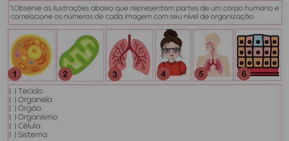 Observe as ilustrações abaixo que representam partes de um corpo humano e
correlacione os números de cada imagem com seu nível de organização.
 )Tecido
( ) Organela
( ) Órgão
( ) Organismo
( ) Célula
( ) Sistema