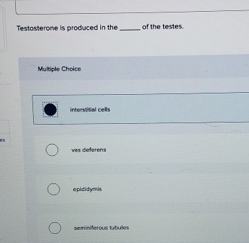 Testosterone is produced in the _of the testes.
Multiple Choice
interstitial cells
e8
vas deferens
epididymis
seminiferous tubules