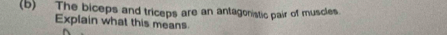 The biceps and triceps are an antagonistic pair of muscles. 
Explain what this means.