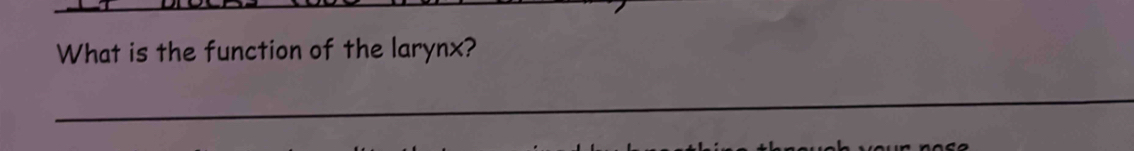 What is the function of the larynx? 
_