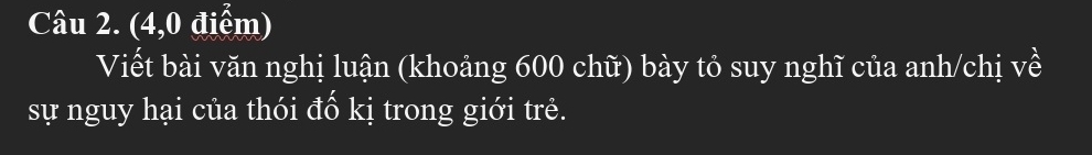 (4,0 điểm) 
Viết bài văn nghị luận (khoảng 600 chữ) bày tỏ suy nghĩ của anh/chị về 
sự nguy hại của thói đổ kị trong giới trẻ.