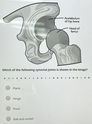 Plane
Hinge
Pivot
Ball-and-socket