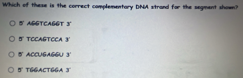 Which of these is the correct complementary DNA strand for the segment shown?
5' AGGTCAGGT 3°
5' TCCAGTCCA 3'
5' ACCUGAGGU 3'
5' TGGACTGGA 3'