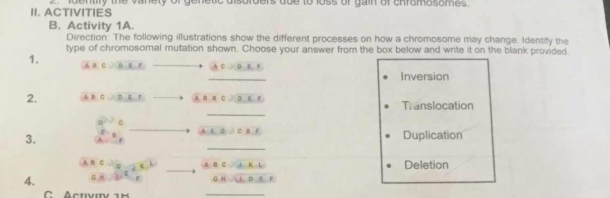 identify the vanety of genetic disorders due to loss of gain of chromosomes. 
II. ACTIVITIES 
B. Activity 1A. 
Direction: The following illustrations show the different processes on how a chromosome may change. Identify the 
type of chromosomal mutation shown. Choose your answer from the box below and write it on the blank provided. 
1. A B. C D E F 
C D E F 
_ 
Inversion 
2. A B C D E F A B B C D E F 
_ 
Translocation 
D C 
A E D C B F Duplication 
_ 
3. 
A B C D 
A B C J K L Deletion 
G H 
4. G H I D E F 
_