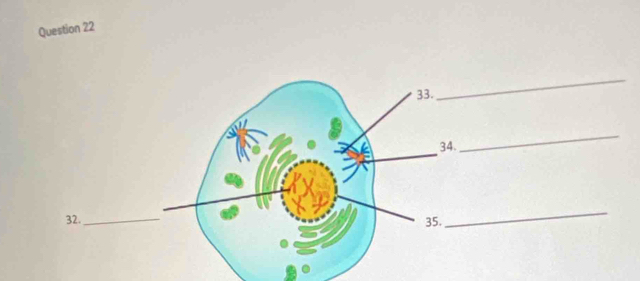 Question 22