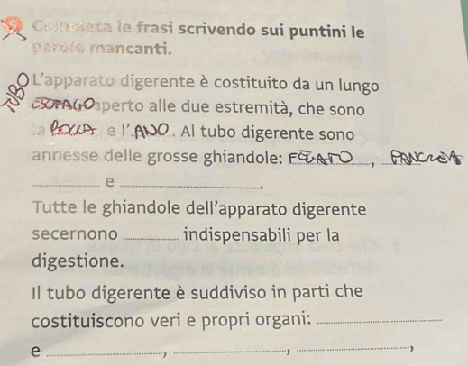 Compieta le frasi scrivendo sui puntini le 
parole mancanti. 
L'apparato digerente è costituito da un lungo 
a aperto alle due estremità, che sono 
e l_ Al tubo digerente sono 
annesse delle grosse ghiandole: _,_ 
__e 
. 
Tutte le ghiandole dell’apparato digerente 
secernono _indispensabili per la 
digestione. 
Il tubo digerente è suddiviso in parti che 
costituiscono veri e propri organi:_ 
_e 
1 
_, 
_,