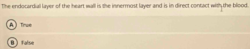 The endocardial layer of the heart wall is the innermost layer and is in direct contact with the blood.
A True
B False