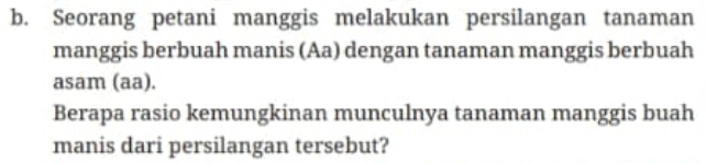 Seorang petani manggis melakukan persilangan tanaman 
manggis berbuah manis (Aa) dengan tanaman manggis berbuah 
asam (aa). 
Berapa rasio kemungkinan munculnya tanaman manggis buah 
manis dari persilangan tersebut?