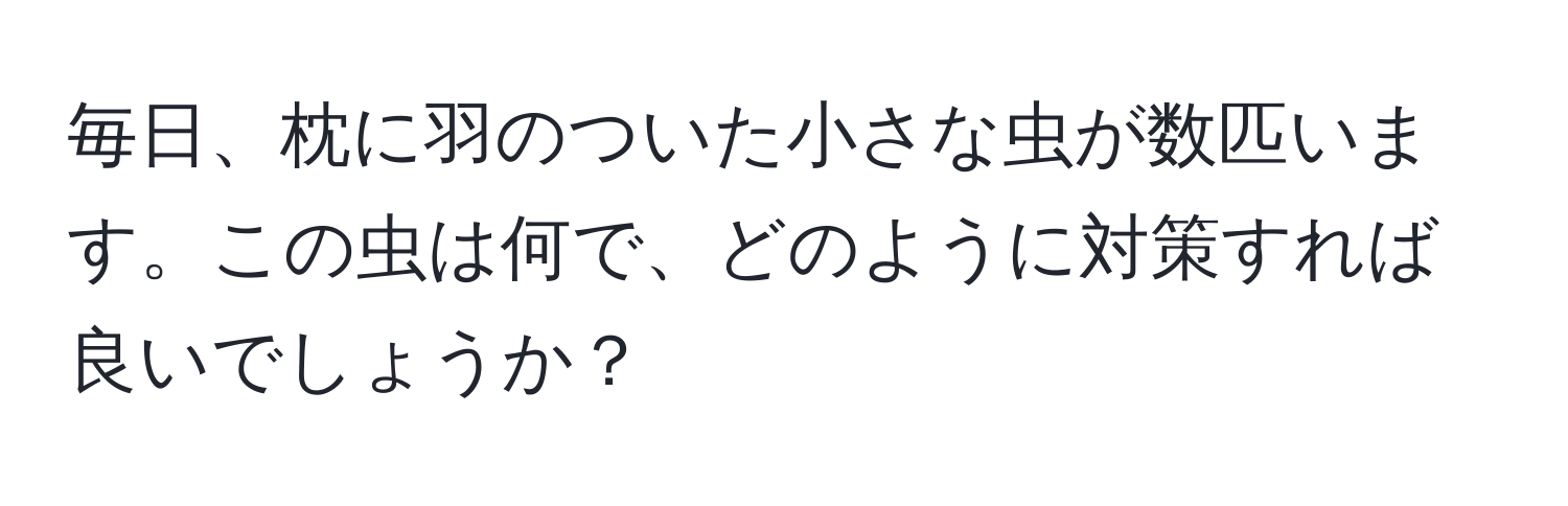 毎日、枕に羽のついた小さな虫が数匹います。この虫は何で、どのように対策すれば良いでしょうか？