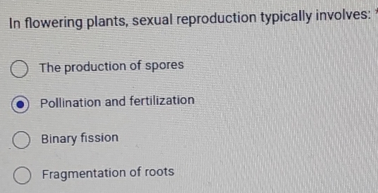 In flowering plants, sexual reproduction typically involves:
The production of spores
Pollination and fertilization
Binary fission
Fragmentation of roots