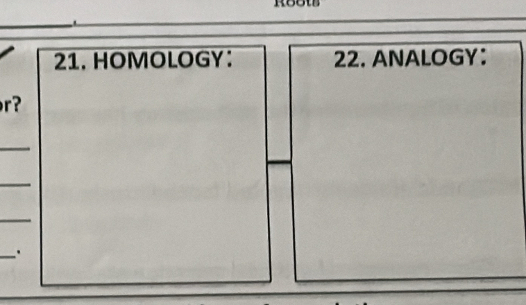 HOMOLOGY： 22. ANALOGY： 
r? 
_ 
_ 
_ 
_.