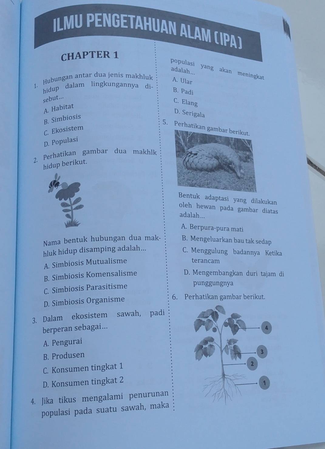 ILMU PENGETAHUAN ALAM (IPA)
CHAPTER 1
populasi yang akan meningkat
adalah...
1. Hubungan antar dua jenis makhluk A. Ular
hidup dalam lingkungannya di-
B. Padi
sebut...
C. Elang
A. Habitat
B. Simbiosis
D. Serigala
5. Perhatika
C. Ekosistem
D. Populasi
2. Perhatikan gambar dua makhlk
hidup berikut.
Bentuk adaptasi yang dilakukan
oleh hewan pada gambar diatas
adalah...
A. Berpura-pura mati
Nama bentuk hubungan dua mak- B. Mengeluarkan bau tak sedap
hluk hidup disamping adalah...
C. Menggulung badannya Ketika
A. Simbiosis Mutualisme
terancam
B. Simbiosis Komensalisme
D. Mengembangkan duri tajam di
C. Simbiosis Parasitisme
punggungnya
D. Simbiosis Organisme
6. Perhatikan gambar berikut.
3. Dalam ekosistem sawah, padi
berperan sebagai...
A. Pengurai
B. Produsen
C. Konsumen tingkat 1
D. Konsumen tingkat 2
4. Jika tikus mengalami penurunan
populasi pada suatu sawah, maka