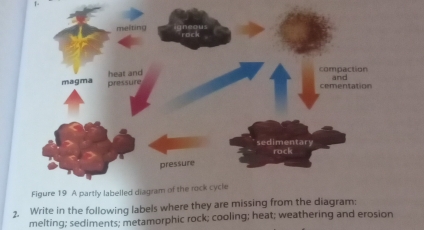 Write in the following labels where they are missing from the diagram: 
melting; sediments; metamorphic rock; cooling; heat; weathering and erosion