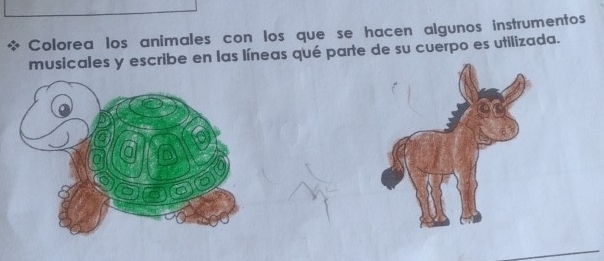 Colorea los animales con los que se hacen algunos instrumentos 
musicales y escribe en las líneas qué parte de su cuerpo es utilizada.