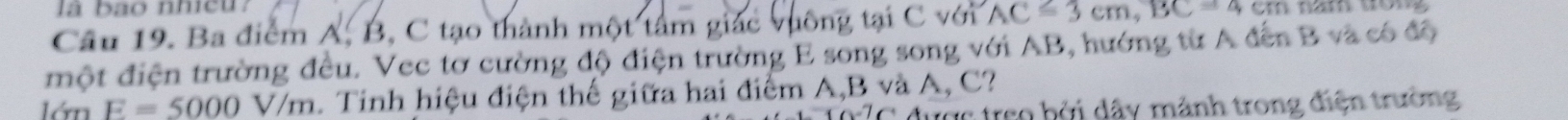 là bão nhieu? 
Câu 19. Ba điểm A, B, C tạo thành một tâm giác vuông tại C với AC=3cm, BC=4cm
một điện trường đều. Vec tơ cường độ điện trường E song song với AB, hướng từ A đến B và có độ 
lớn E=5000V/m 1. Tinh hiệu điện thế giữa hai điểm A, B và A, C?
C d ư ợ treo bởi dây mảnh trong điện trường