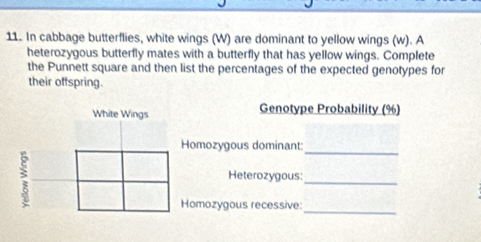 In cabbage butterflies, white wings (W) are dominant to yellow wings (w). A 
heterozygous butterfly mates with a butterfly that has yellow wings. Complete 
the Punnett square and then list the percentages of the expected genotypes for 
their offspring. 
Genotype Probability (%) 
_ 
Homozygous dominant: 
_ 
Heterozygous: 
_ 
Homozygous recessive: