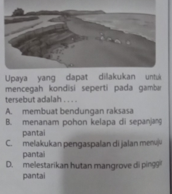 Upaya yang dapat dilakukan untuk
mencegah kondisi seperti pada gambar
tersebut adalah . . . .
A. membuat bendungan raksasa
B. menanam pohon kelapa di sepanjang
pantai
C. melakukan pengaspalan di jalan menuju
pantai
D.melestarikan hutan mangrove di pingg 
pantai